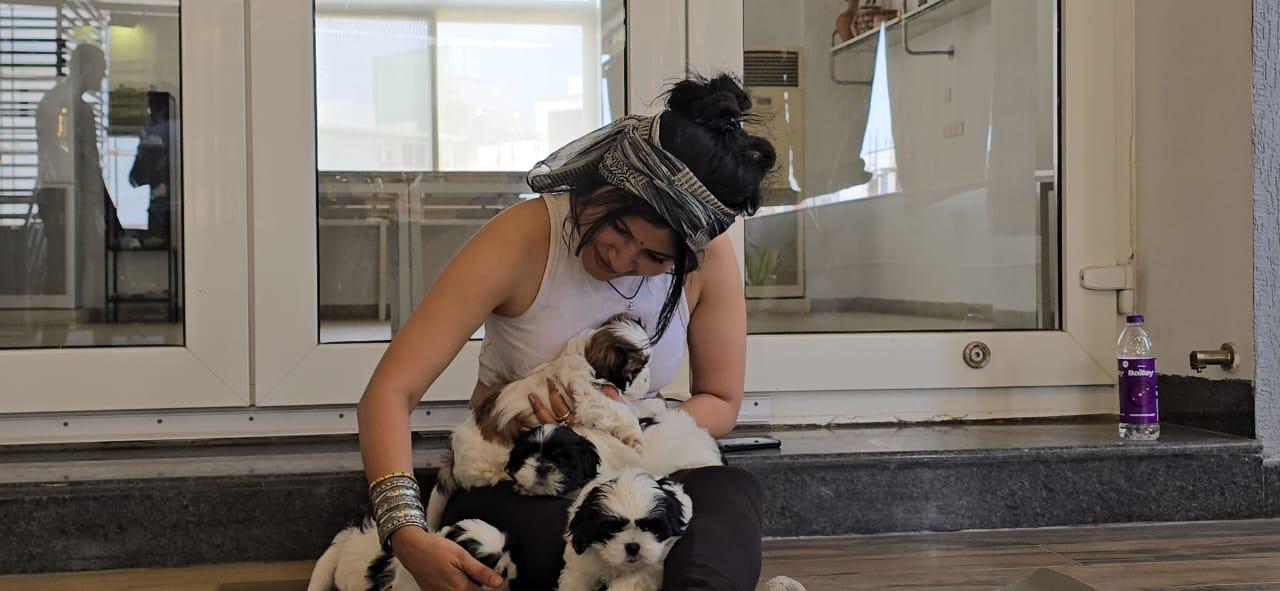 Animal Touch: The Science of Healing Through Connection